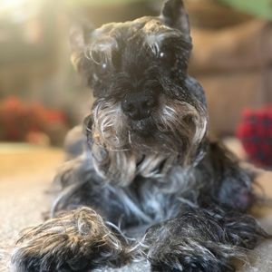 Meet your Posher, Kristy